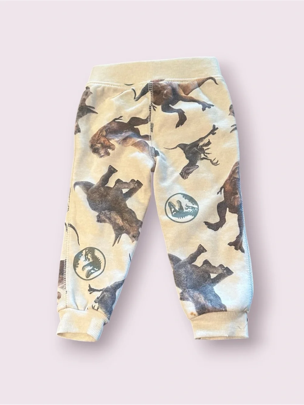 Toddler Boy Jurassic World All Over Dinosaur Print Hoodie And Pants Sz 12 Mon